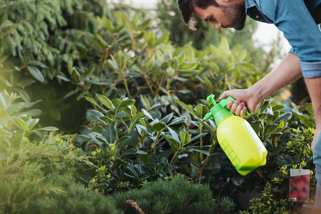 10 Best Garden Sprayer Reviews Your's Choice!