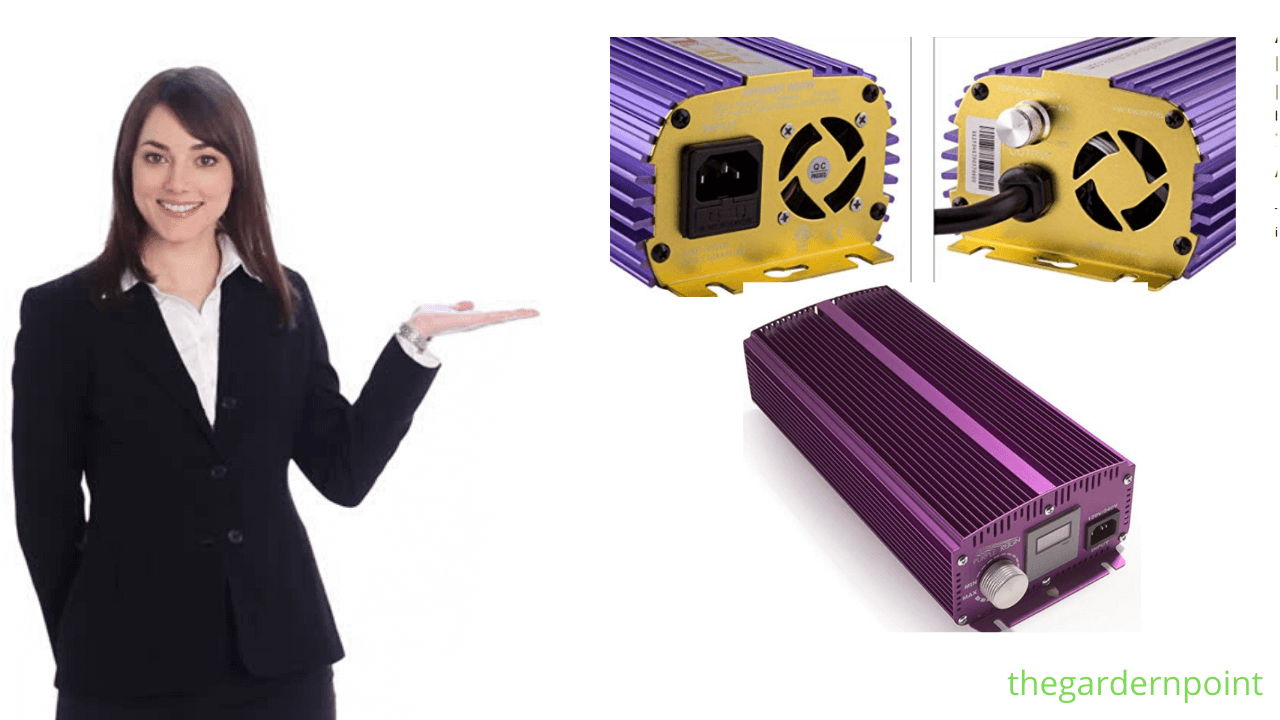 Top 10 Best Digital Ballast Reviews Of 2020 Complete Expert's Guide!