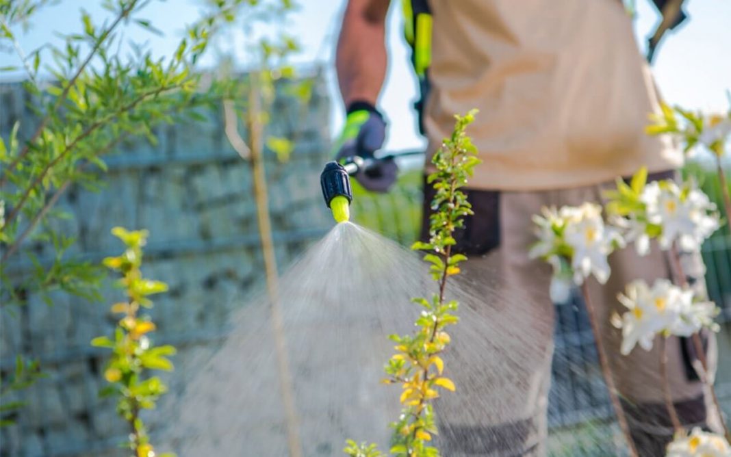 how to use a garden sprayer The Complete Guide