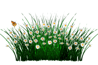 How to make Garden – Little Alchemy Complete cheats Guide